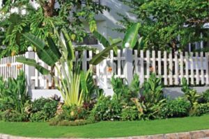 Di Tim Nhung Mau Hang Rao Dep Cho Nha Ban Them Xinh 1 2