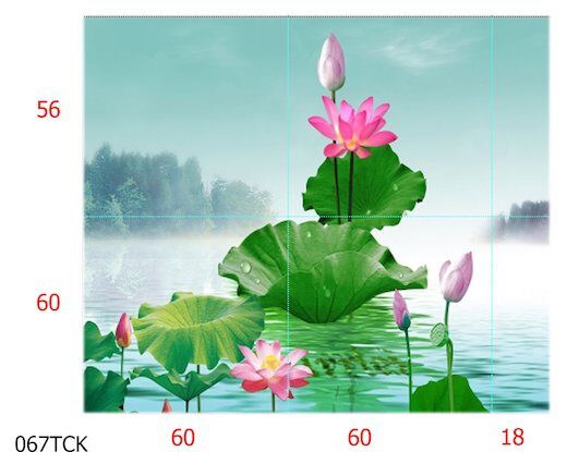 Kích thước gạch tranh 3d